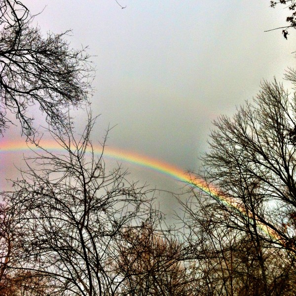 Rainbow.  February 2013.