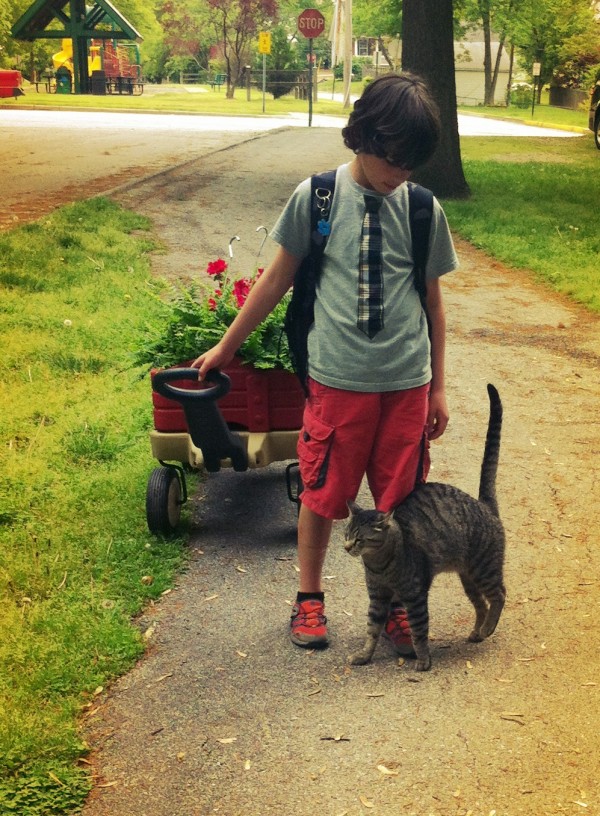 Plant sale.  May 2013.