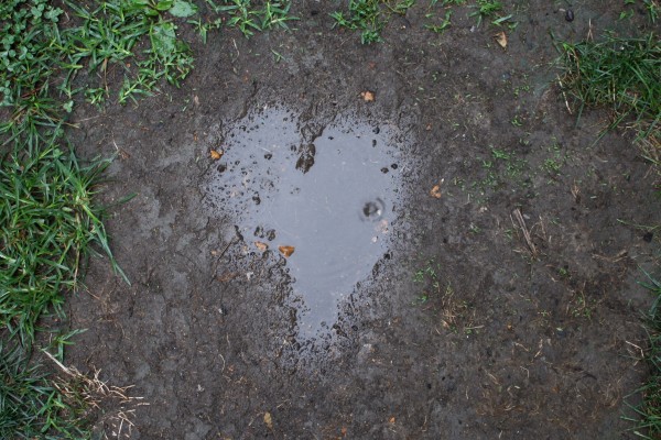 Through the Lens #32 Love