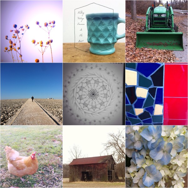 10 Tips for Photo a Day projects