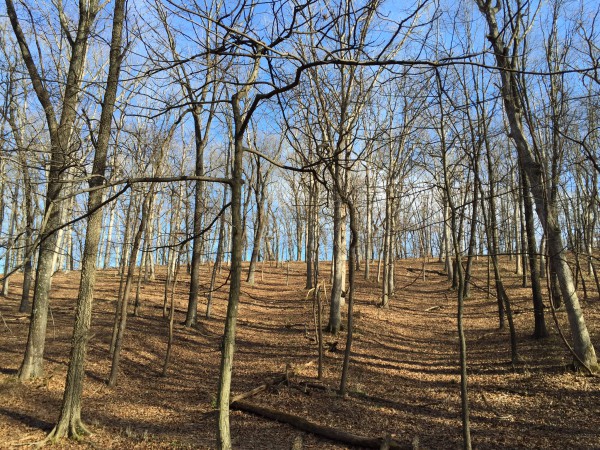 Lone Elk State Park, MO