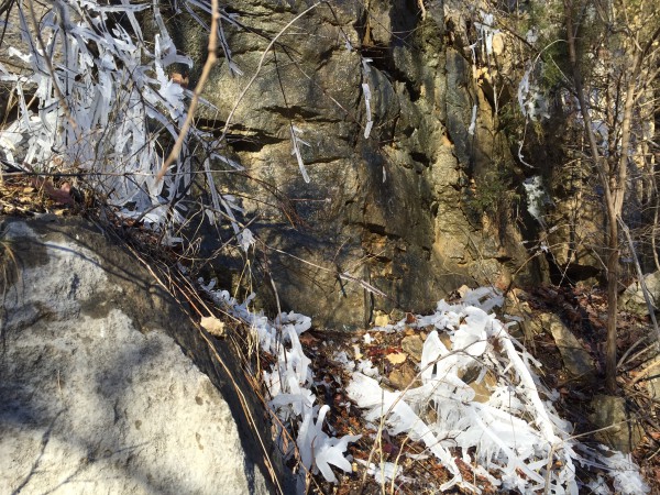 Rockwoods Reservation, MO