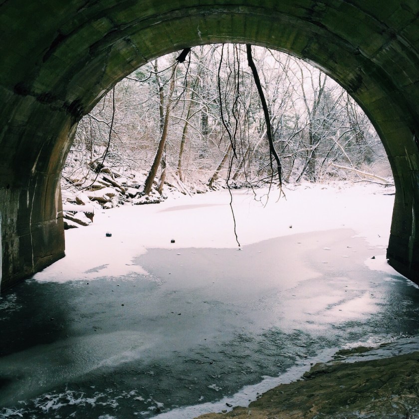 Processed with VSCOcam with c1 preset