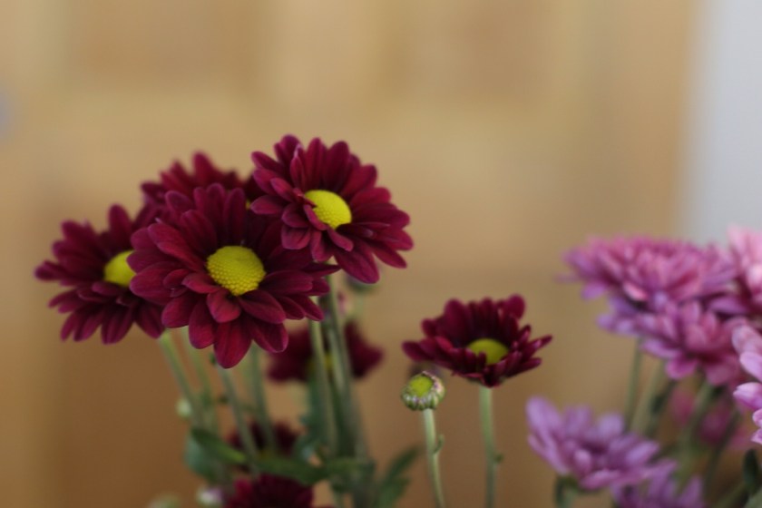 Processed with Snapseed.