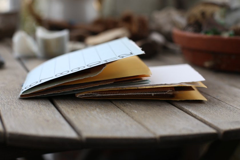 minijournaljan2017img_6844