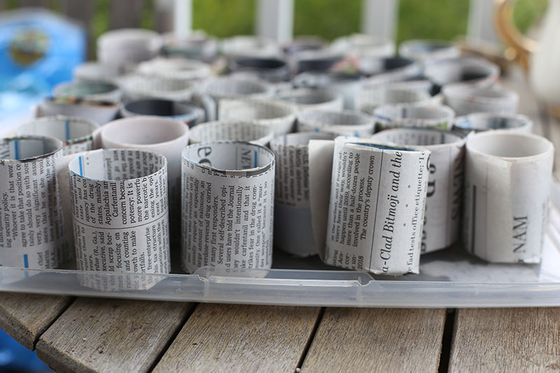 seedsfeb2017blogimg_6965