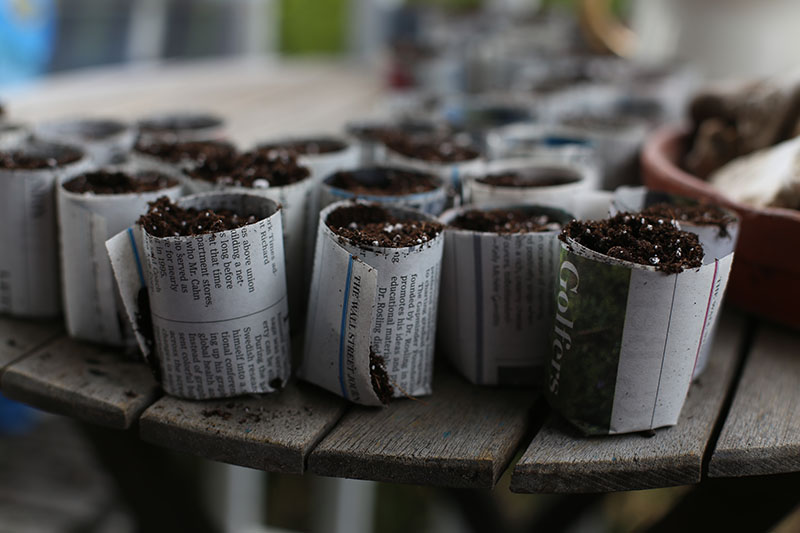 seedsfeb2017blogimg_6968