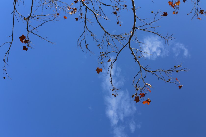 ElephantRocksOct2017IMG_7721