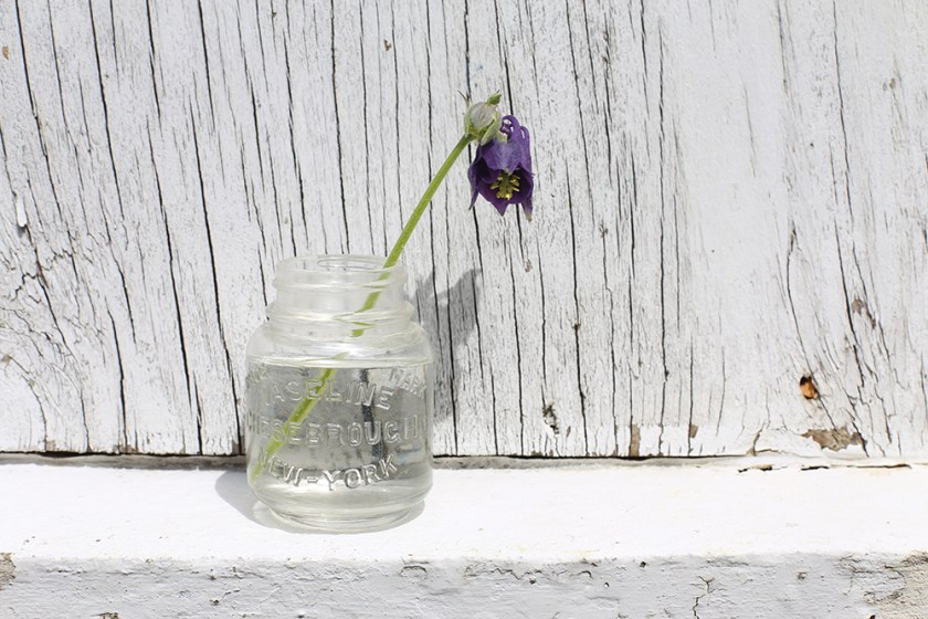 SinglecolumbineMay2018