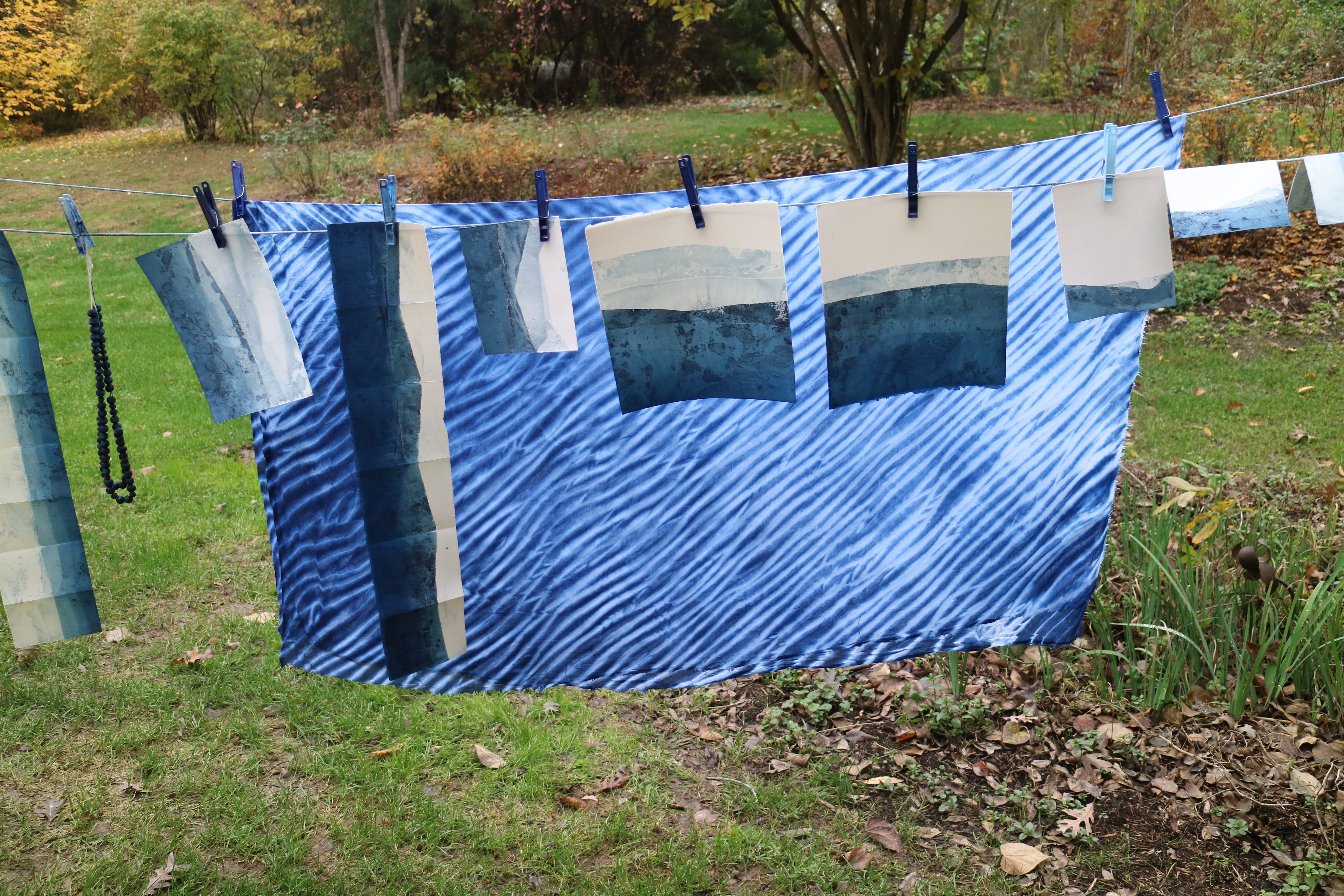 10769507280_IMG_4709