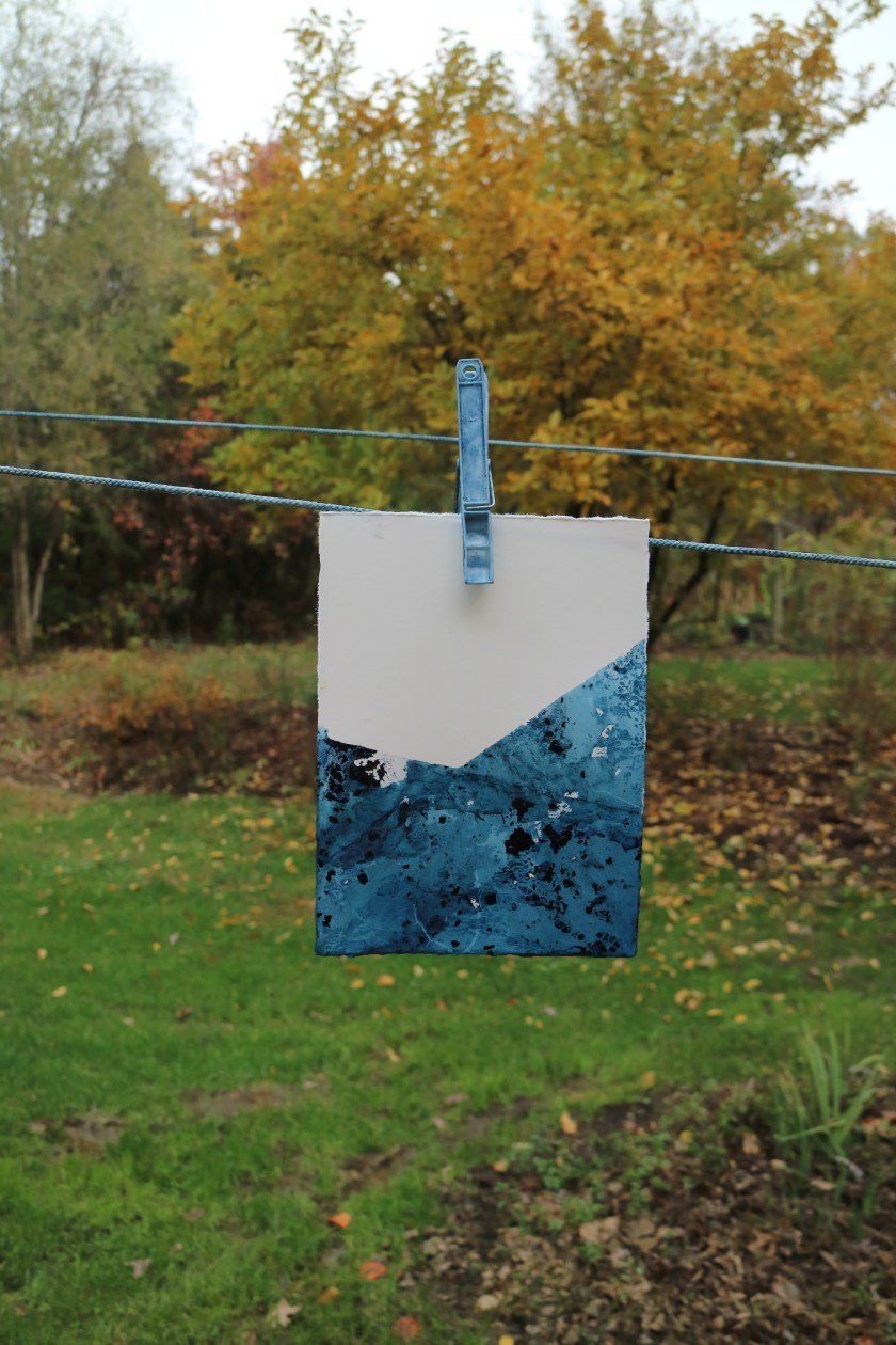 10769511024_IMG_4697