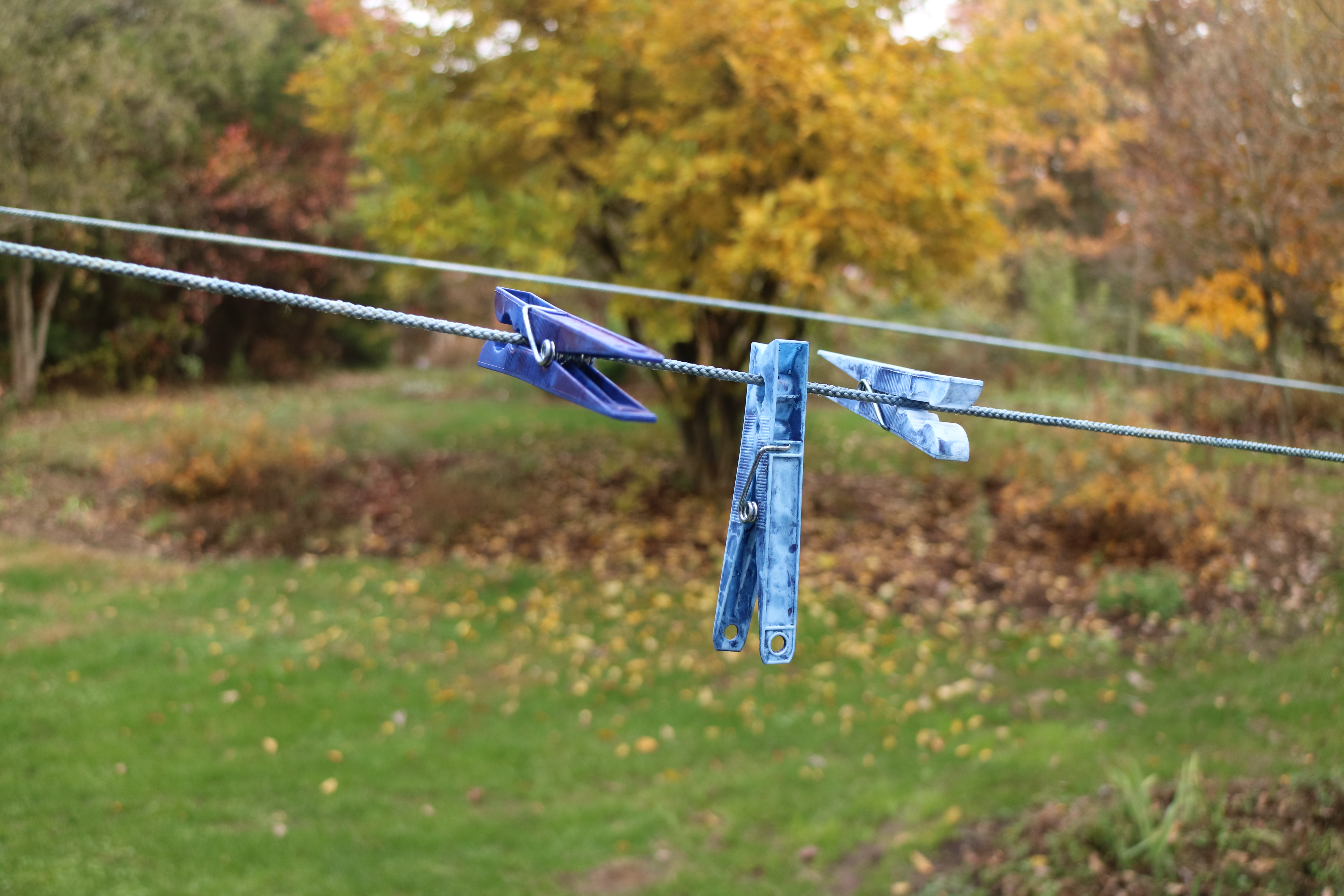 10769513568_IMG_4692