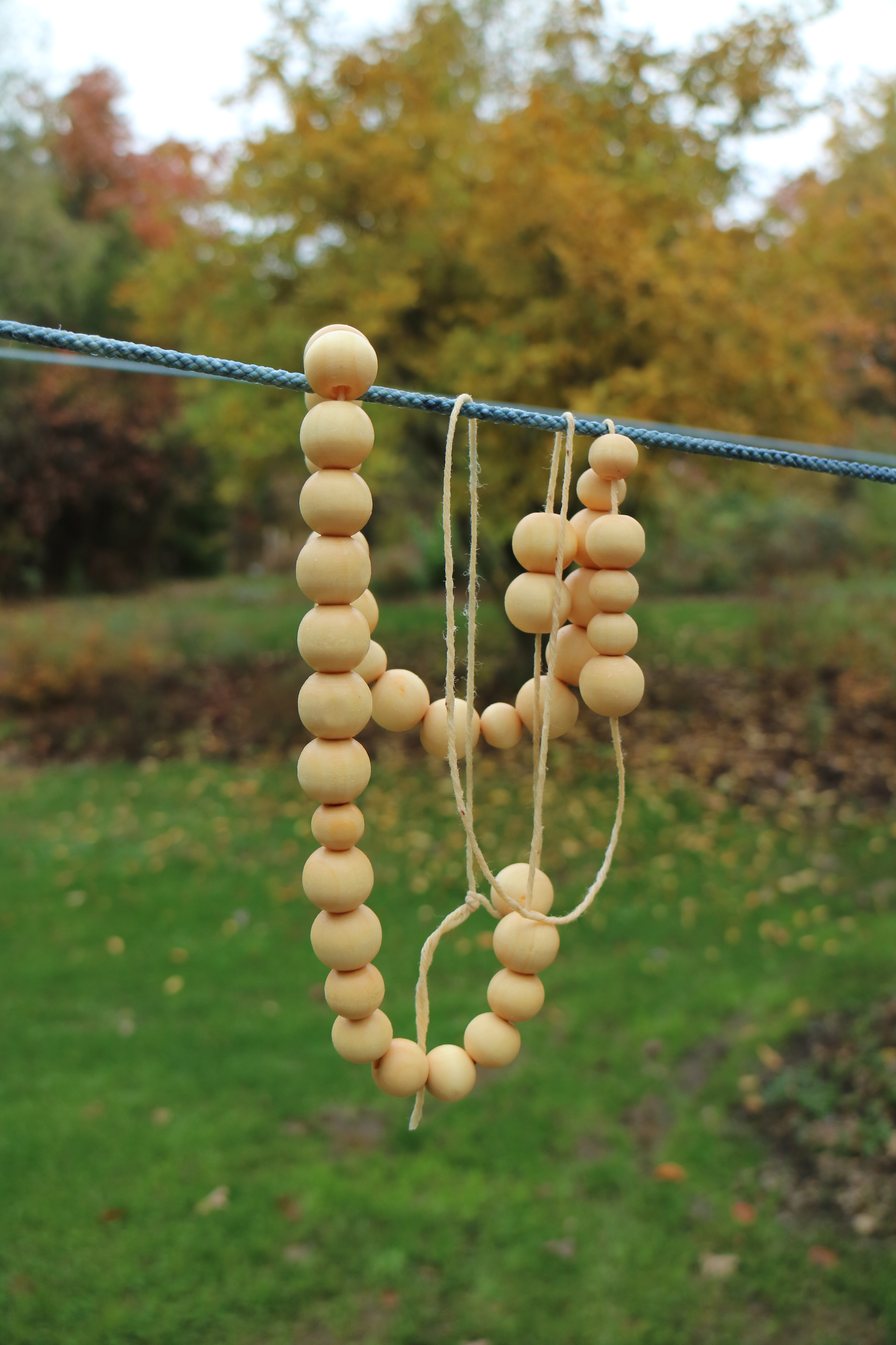 10769616880_IMG_4689